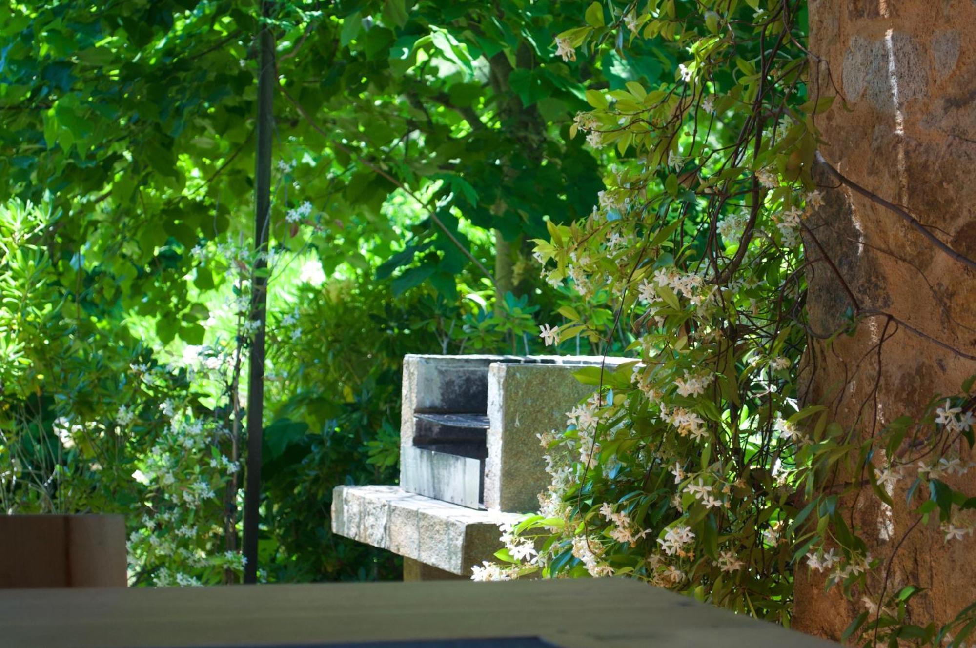 Domaine Codaleone Serriera  Cameră foto